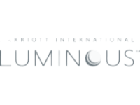 MIPP_LUMINOUS_LOGO_MEDIUM-1-1 MIPP LUMINOUS LOGO MEDIUM 1 1
